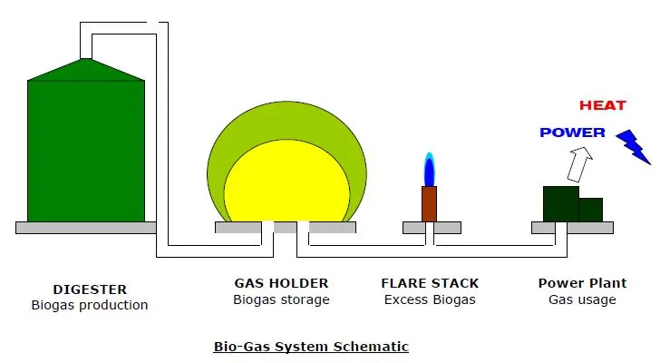 PVDF Biogas Storage Balloon for Combined Heat and Power Project