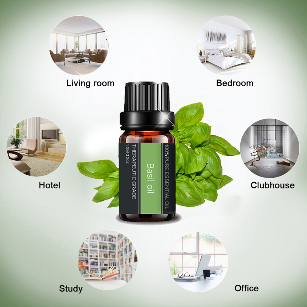 100%Pure Herbal Natural Basil Essential Oil Private Label