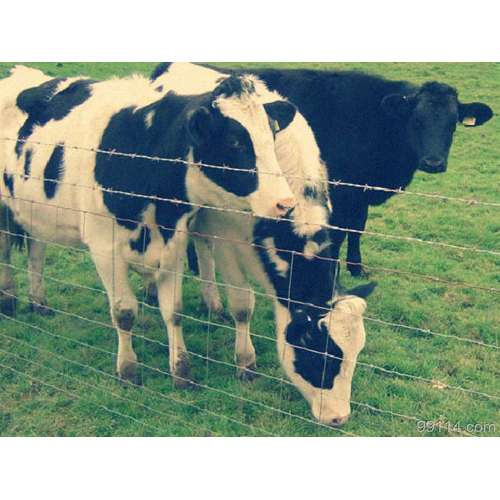 Clôture de champ de ferme de bétail en vrac galvanisée en gros pas cher