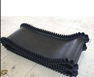 Endless Electronic Scale Conveyor Belts