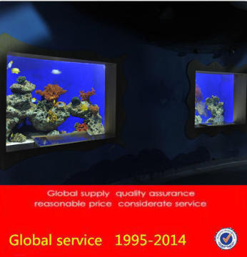 Large aquatic animals ornamental fish tank