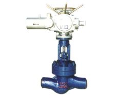 Power plant shut-off valve