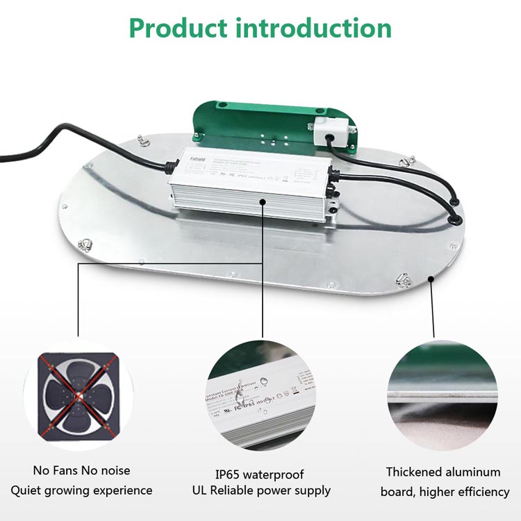 quantum board grow lights quantum board grow lights