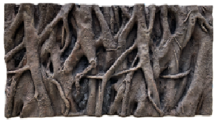 Reptile Landscaping Background Board