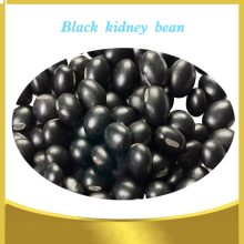 chinese black kidney beans new Crop