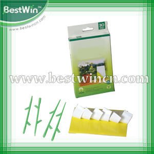 insect glue trap