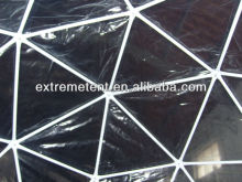 Geodesic dome tent/Green house