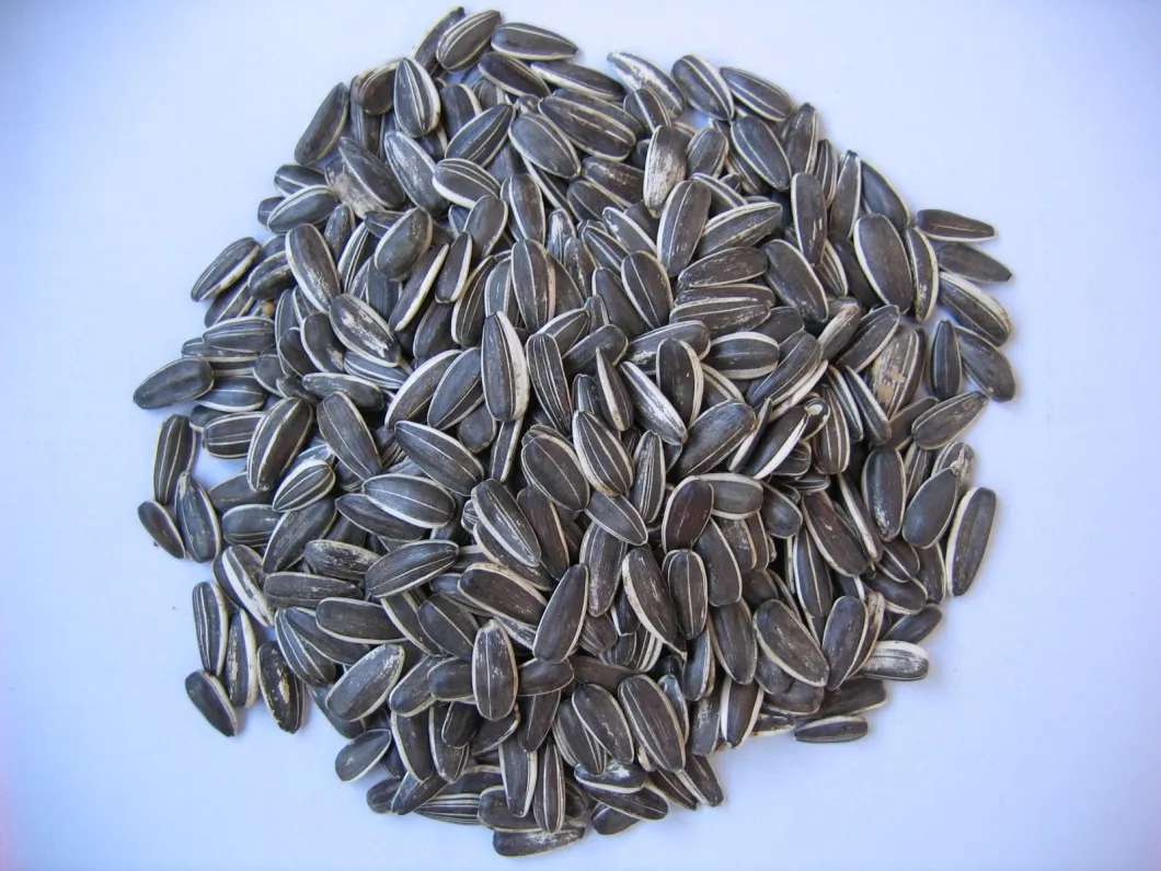High Quality New Crop 2021 Sunflower Seeds