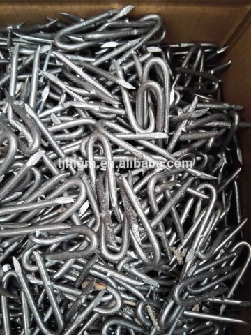 Manufacturer Supply U Type Nails/Fence Staples /Barbed Fence Staples 1"