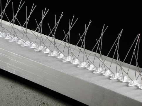 50 cm 30 spines stainless steel bird spikes environmental protection bird spines orchards bird repelling