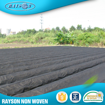 Hot Product Trends Vegetable Protection Blankets Agriculture Pp Spunbond Nonwoven Fabirc Ss