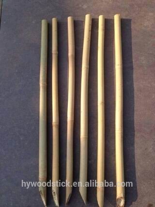 Bamboo Poles