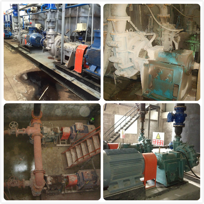 Beet slurry pumps 