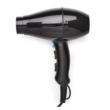 Professional Hair Dryer Motors: 15 & 17 for Choice