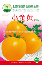 Yellow Cherry Tomato Seeds For Growing-Little Gold Yellow