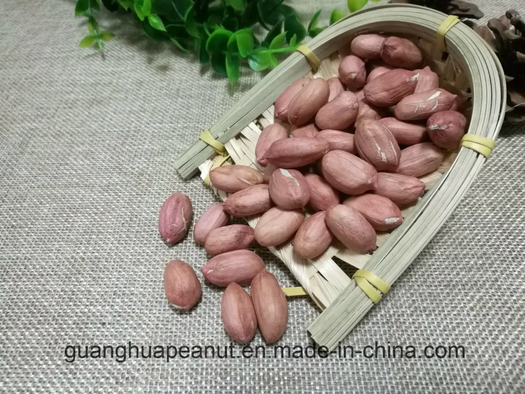 Best Sale Blanched Peanut Kernels 25/29 New Crop
