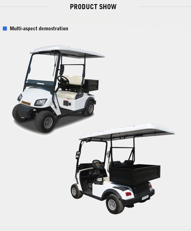 Golf Carts with Carrying Box for Sale Ce Approved