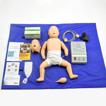 Professional Manikins for CPR Training and BLS Certification