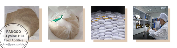 feed additive lysine hcl