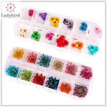 diy nail dry flower 3d nail art decoration sticker