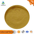Buy online raw materials Lotus Leaf Extract powder