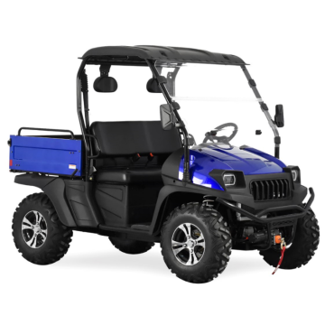 Sales chaudes Style JEEP 400CC EFI UTV Bleu