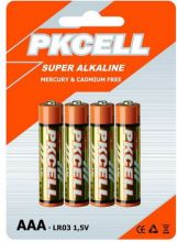 alkaline battery