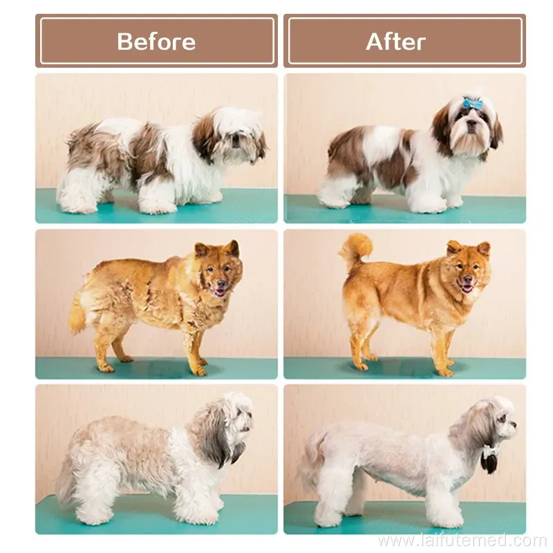 Hot Sale Pet Grooming Vacuum Cleaner