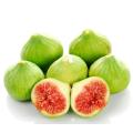 Extrato de frutas de figo pó