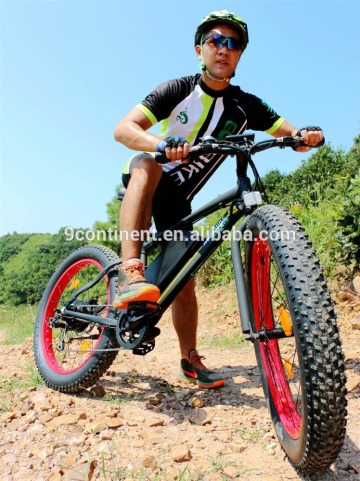 Taizhou 26 inch mountain electric bicycle