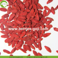 Premium Natural Nutrition Partihandel Goji Berry