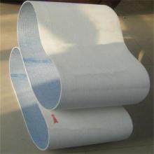 Synthetic Fiber Endless Industry Battery Pasting Belt