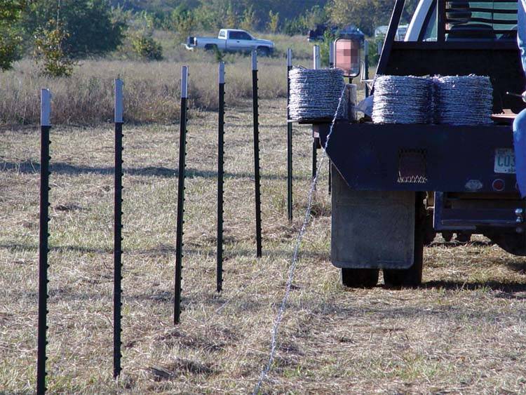 Metal wholesale galvanized cheap fence t posts