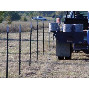 Metal wholesale galvanized cheap fence t posts