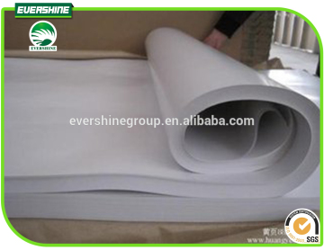 Evershine Brand C1s Coated Art Paper