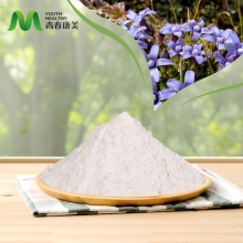 Pure Forskolin Powder for Weight Loss