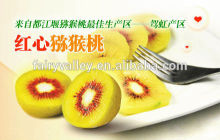 Red Kiwi fruit seeds Chinese gooseberry seeds