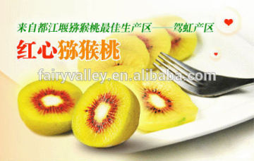 Red Kiwi fruit seeds Chinese gooseberry seeds