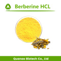 Cortex Phellodendri Extracto Berberine HCl Powder 97% Price