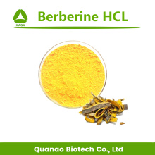 Cortex Phellodendri-Extrakt-Berberin-HCL-Pulver 97% Preis
