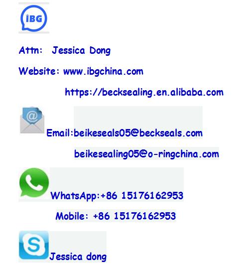 Contact ibg