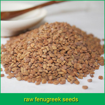 raw fenugreek seeds