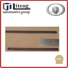 GREAT WALL 5500100AP00XA ANTICOLLISION STRIP FR BODY LH