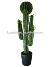 Hot Sale artificial cactus plants, artificial cactus plants,artificial cactus,cheap artificial plants