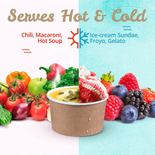 Disposable Dessert Party Supplies Frozen Yogurt bowls