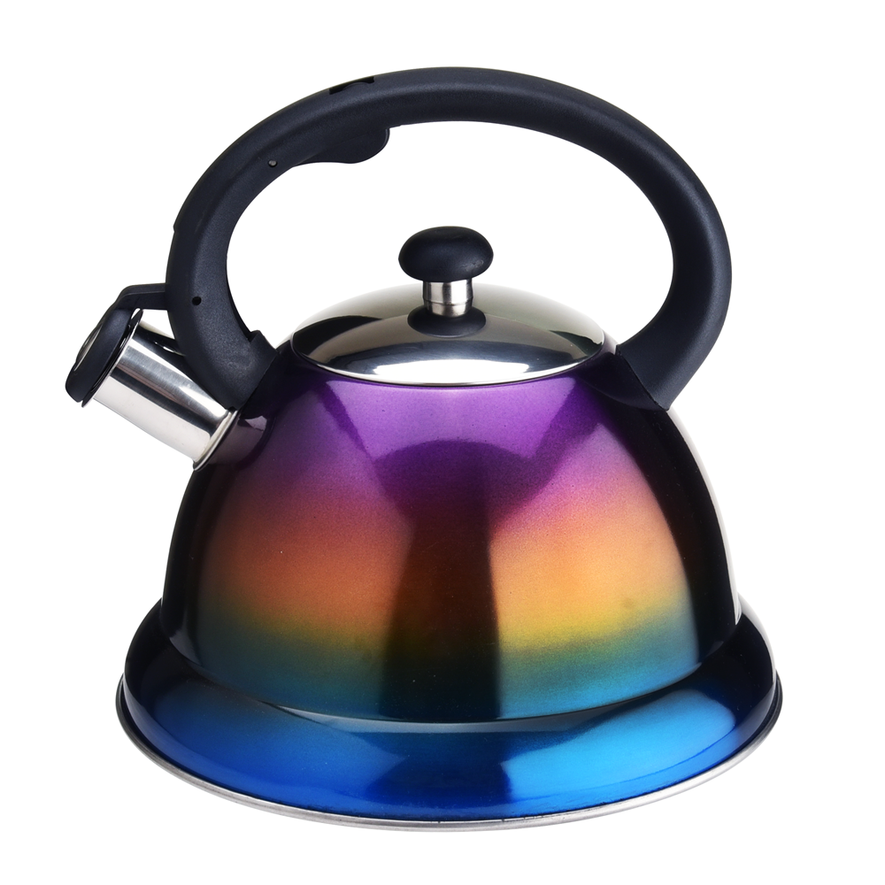 Stainless Steel Whistling Kettle