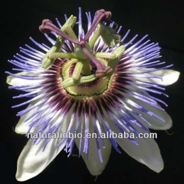 Passiflora Flower Extract