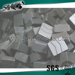 Diamond Segments for Us Bluestone