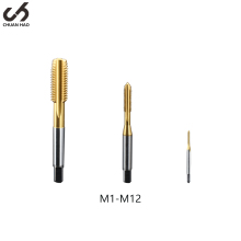 Custom TIN Machine Thread Tap & Die Metric M1-M12 HSS Nitriding Coated Straight Flute Screw Taps for Stainless Steel