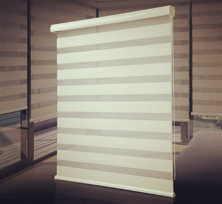 Roller Zebra Blind Gordijn Shades